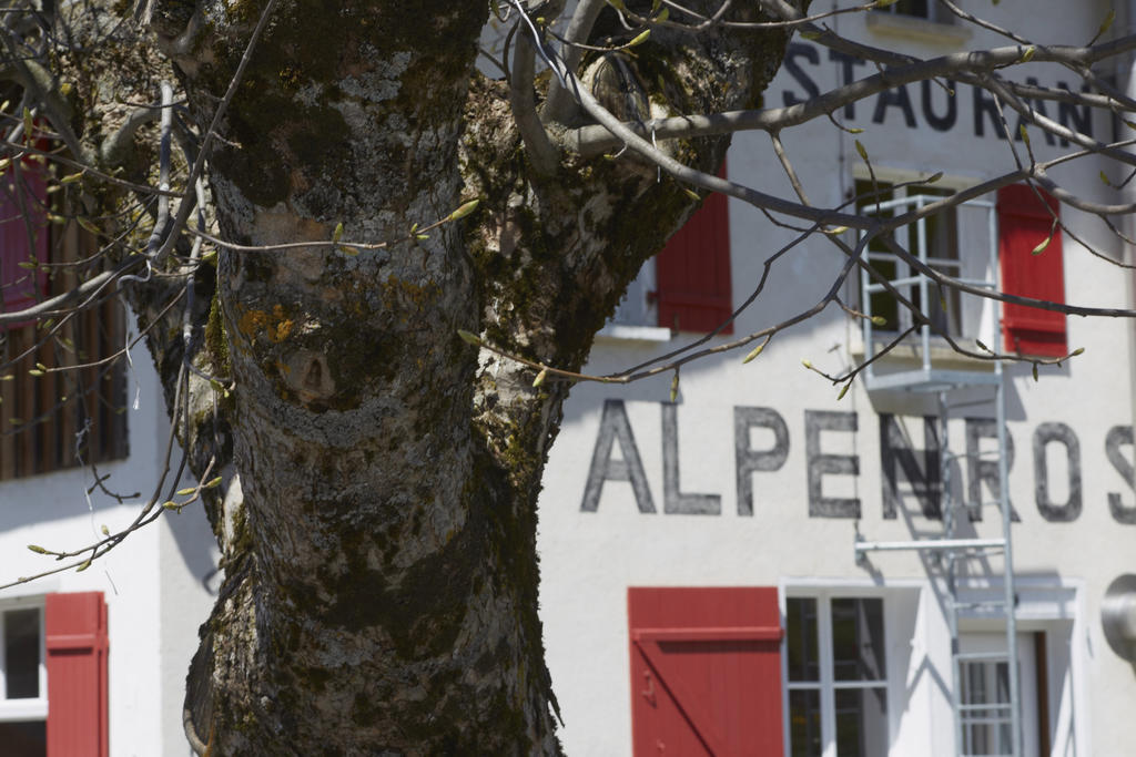 Alpenrose Gadmen - Gasthaus Exterior foto